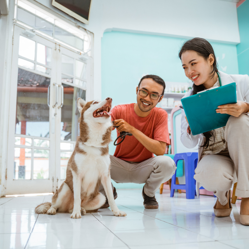 Pet Care Business Trends